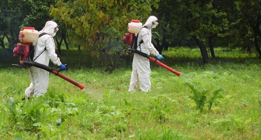 В ожидании амброзии мэрия Днепра готовит «комплексный подход»