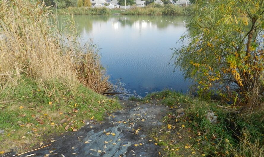Весна пришла, но лесные пикники временно под запретом