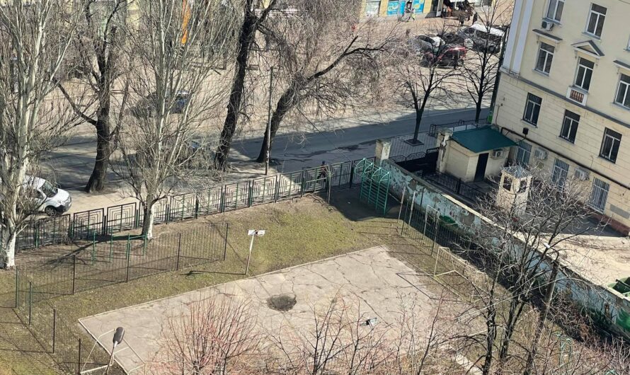 «Будем продавать всё, что можно продать»: на ул. Чернышевского  защищают спортплощадку  от одичавших застройщиков